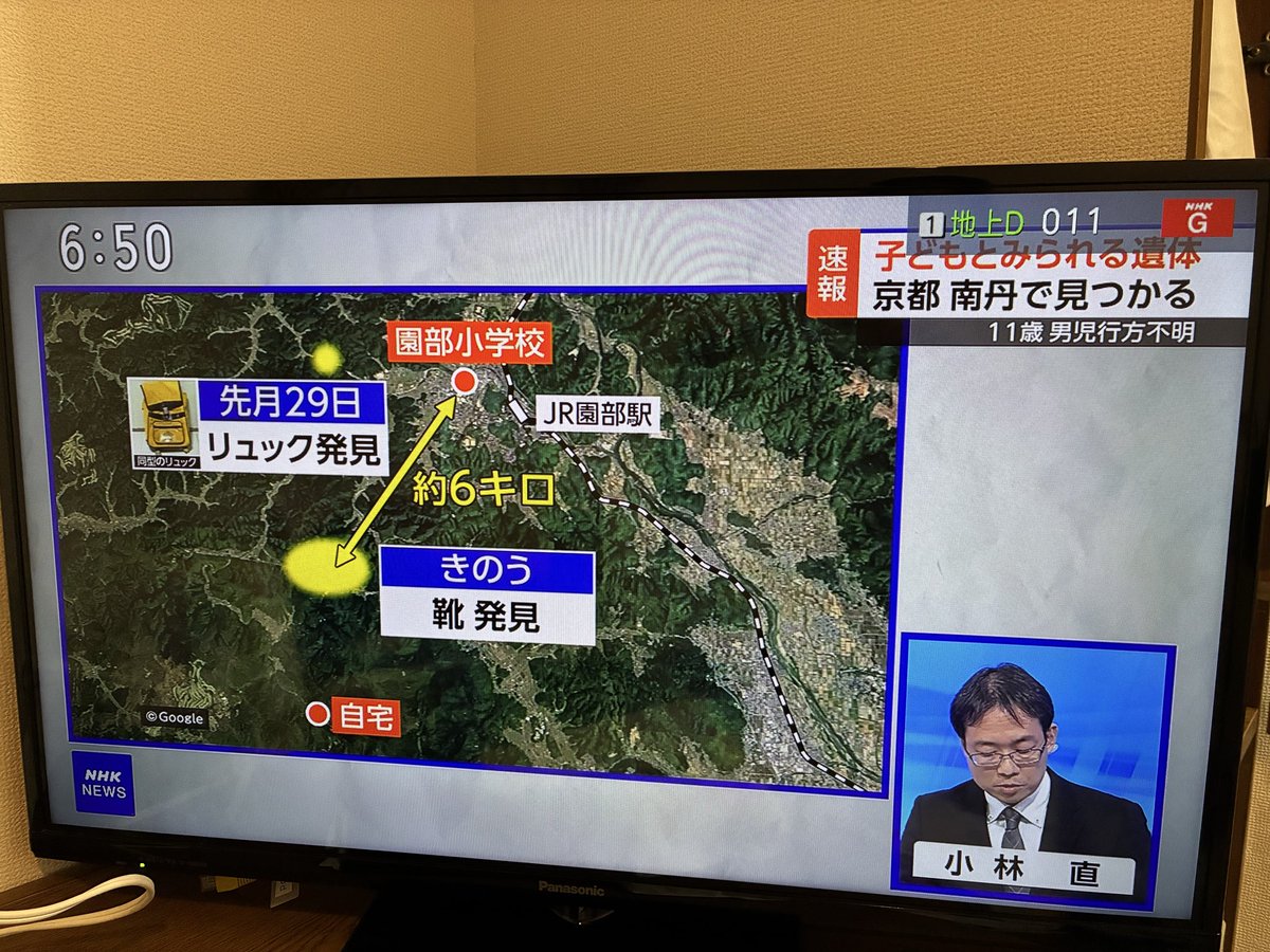 きんぎょ tweet media