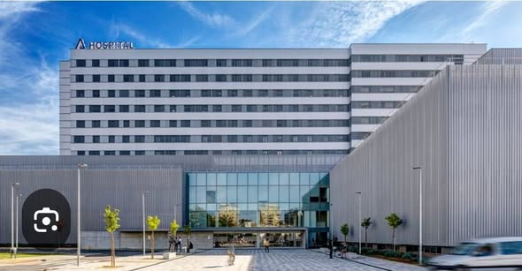 PEPE, en Español . INVICTUS MANEO.🇪🇸 🇮🇱 tweet media