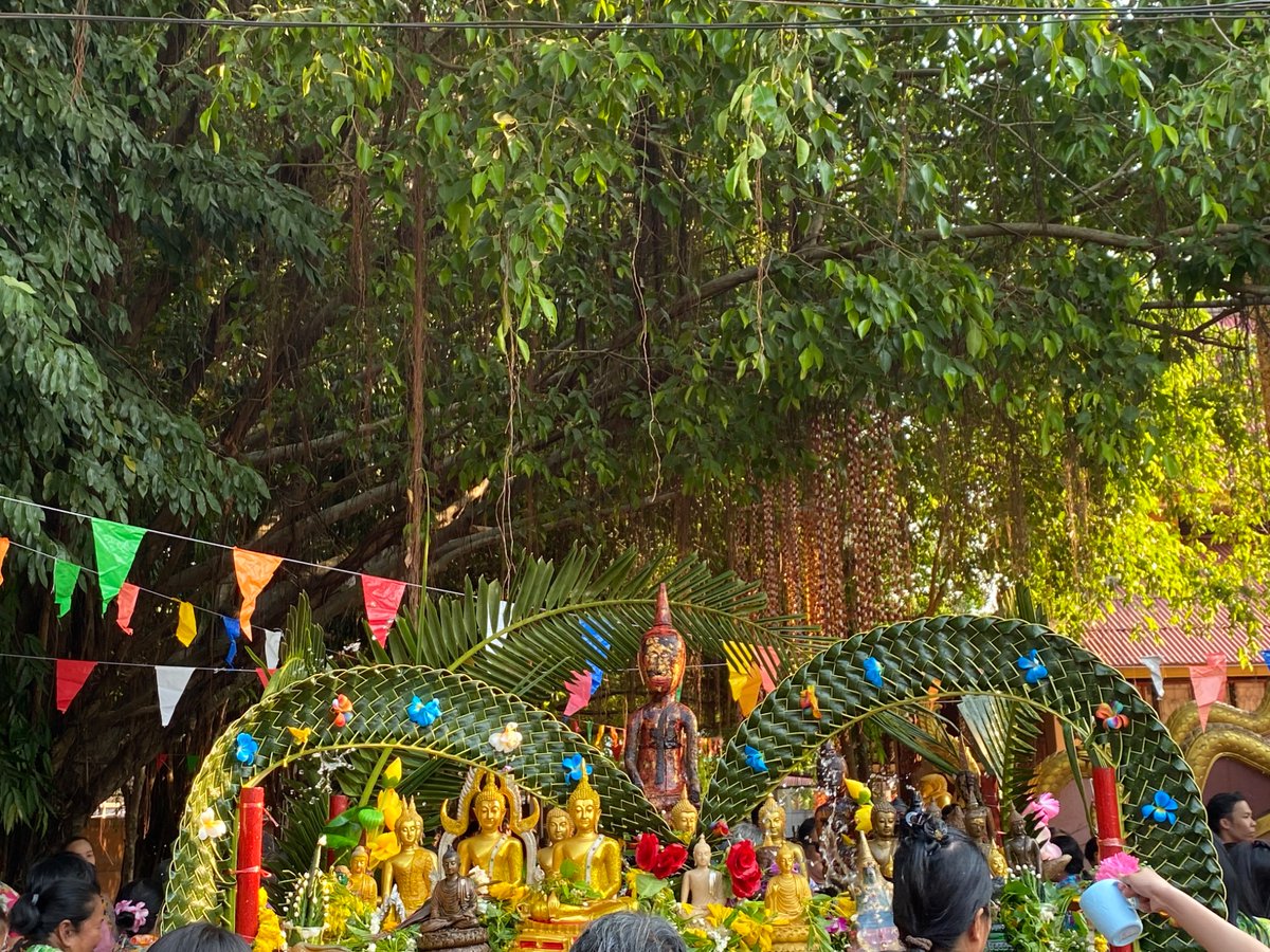 โบจัง tweet media