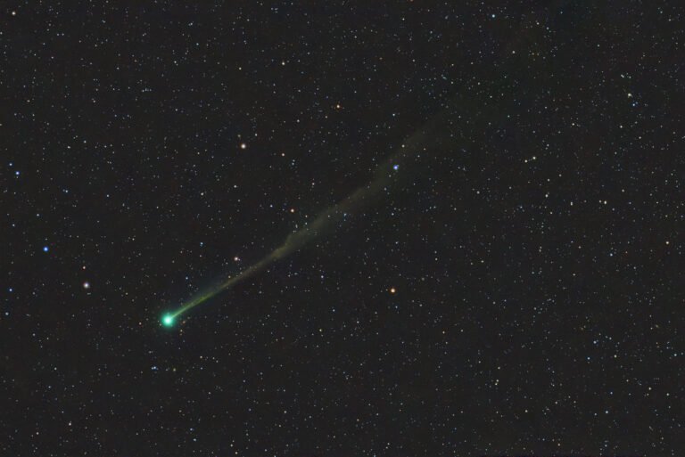 For all Curious tweet media