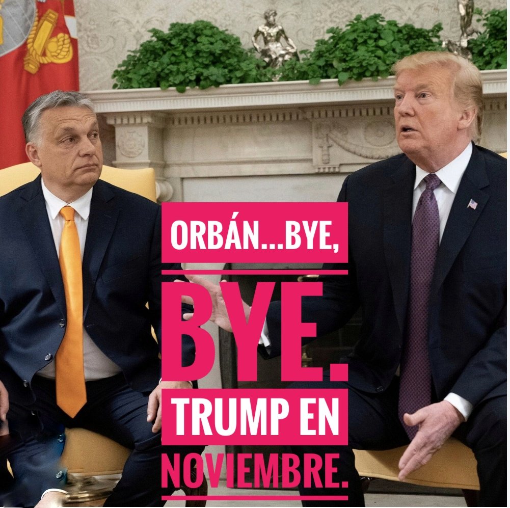 Ora pro nobis tweet media