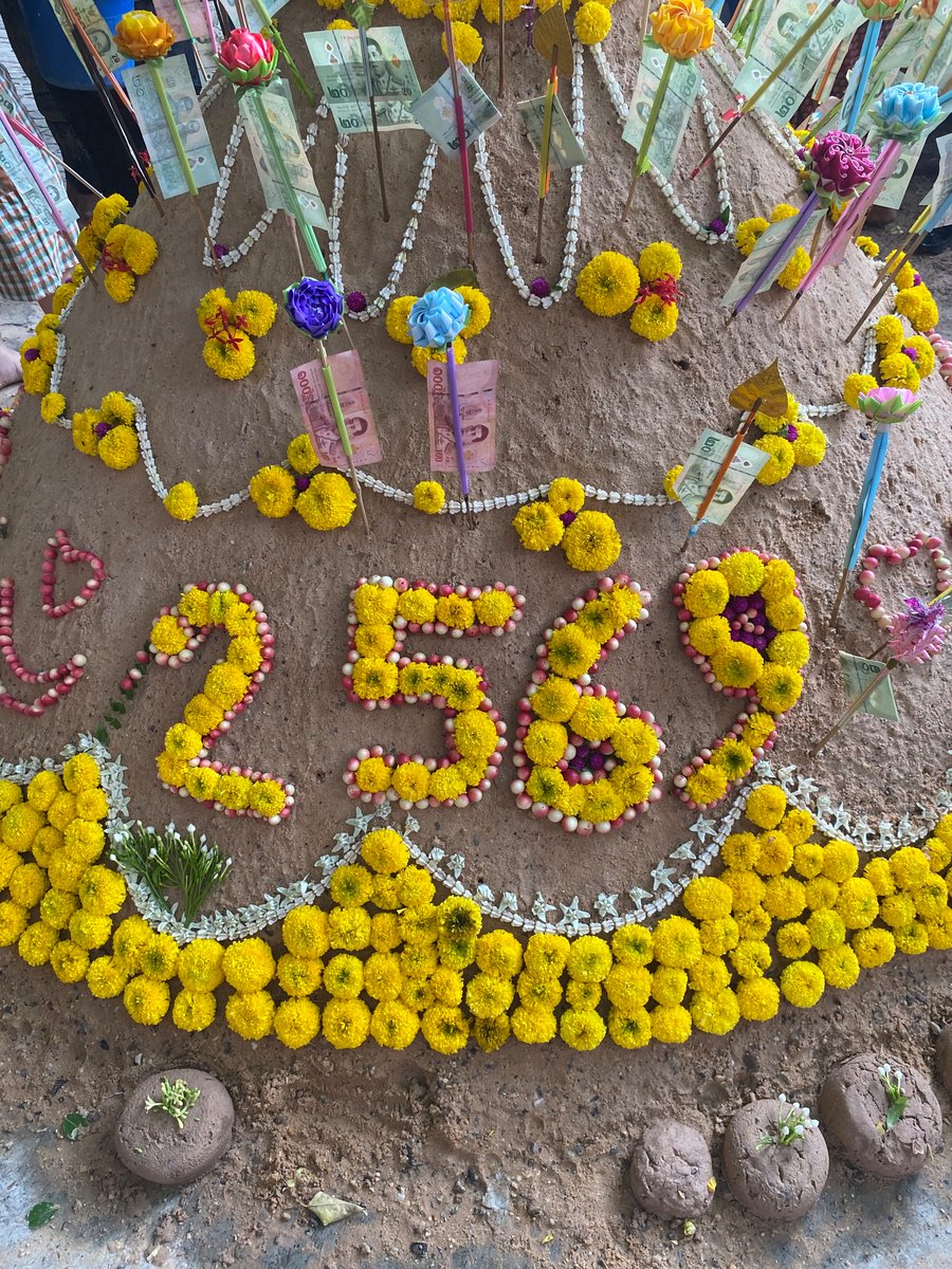 โบจัง tweet media