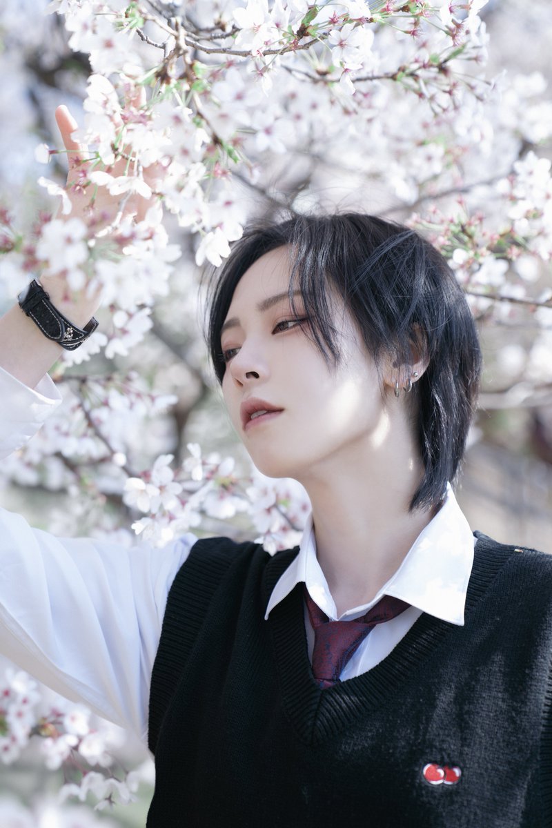 🏔️🐕 tweet media