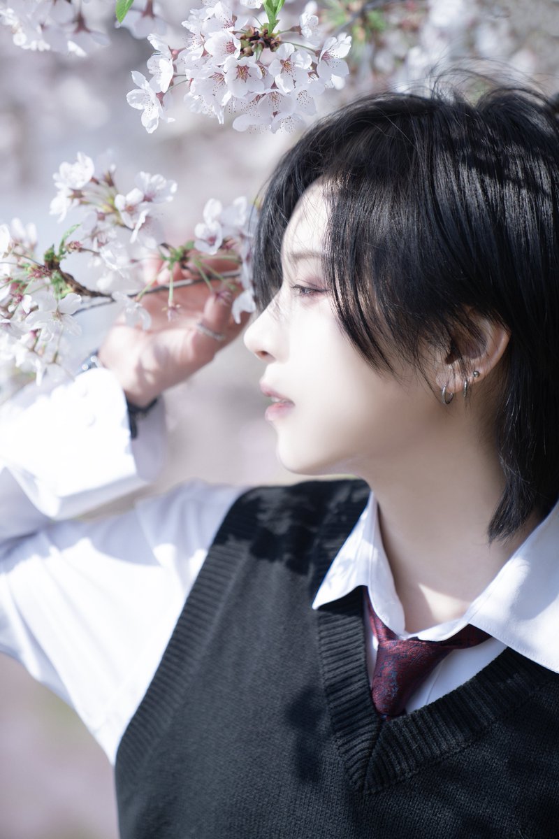 🏔️🐕 tweet media