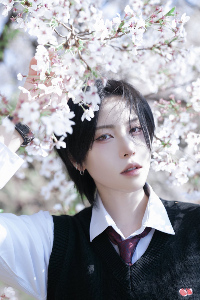 🏔️🐕 tweet media