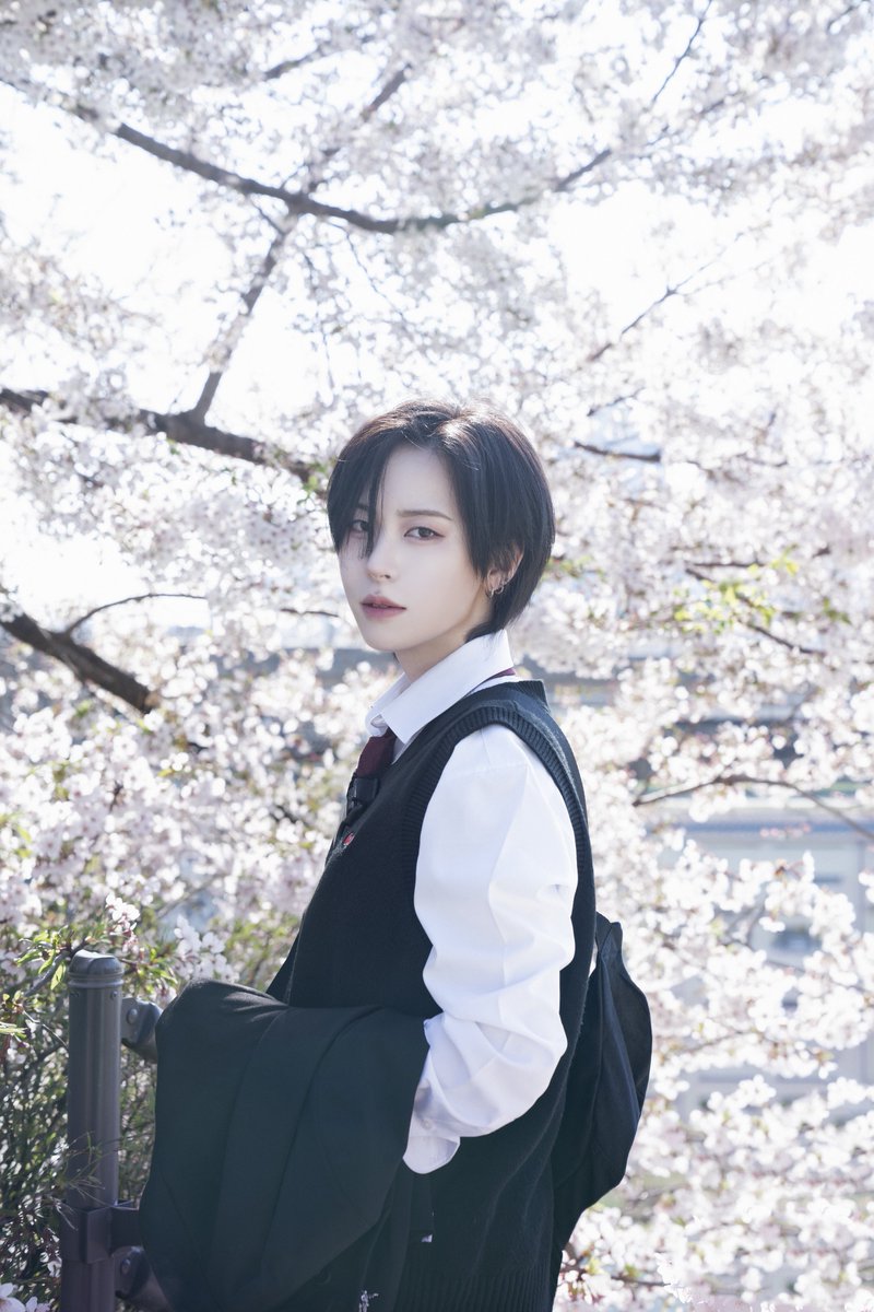 🏔️🐕 tweet media