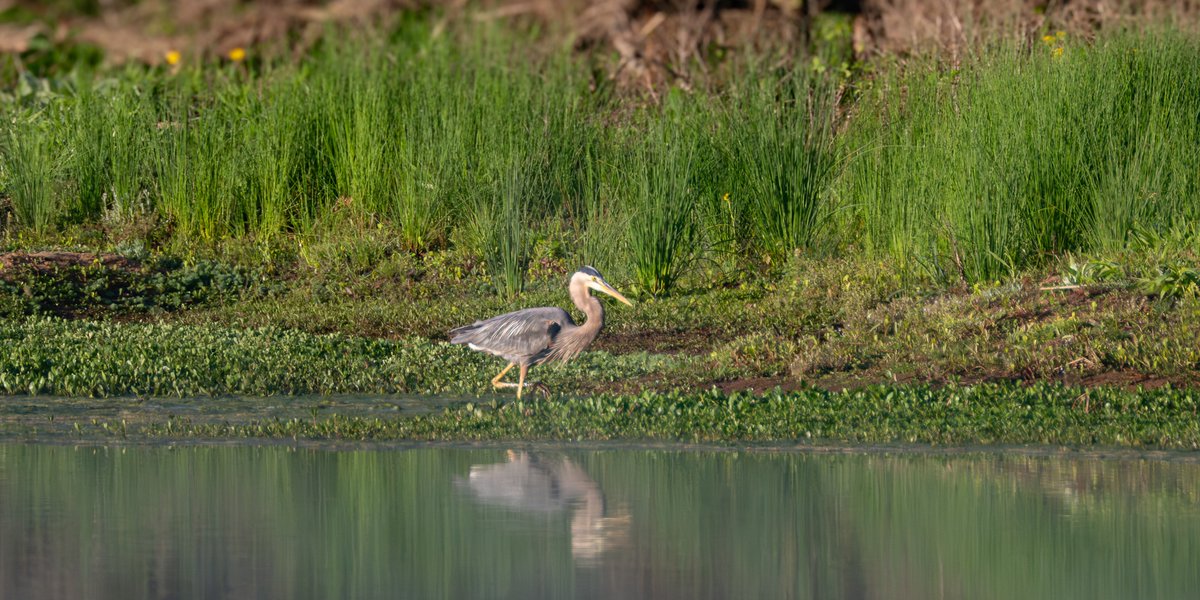 Don L Turner tweet media