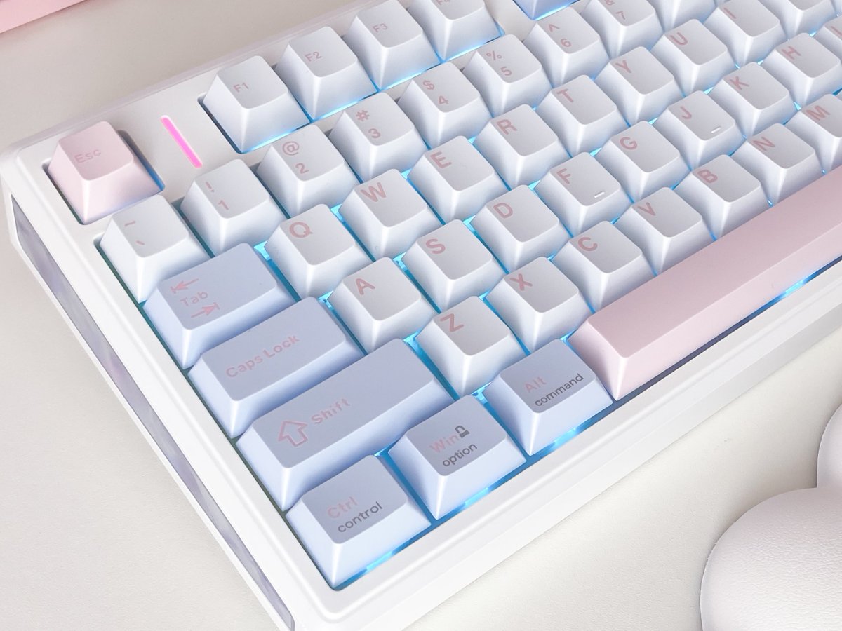 リベラ‎🎀 tweet media