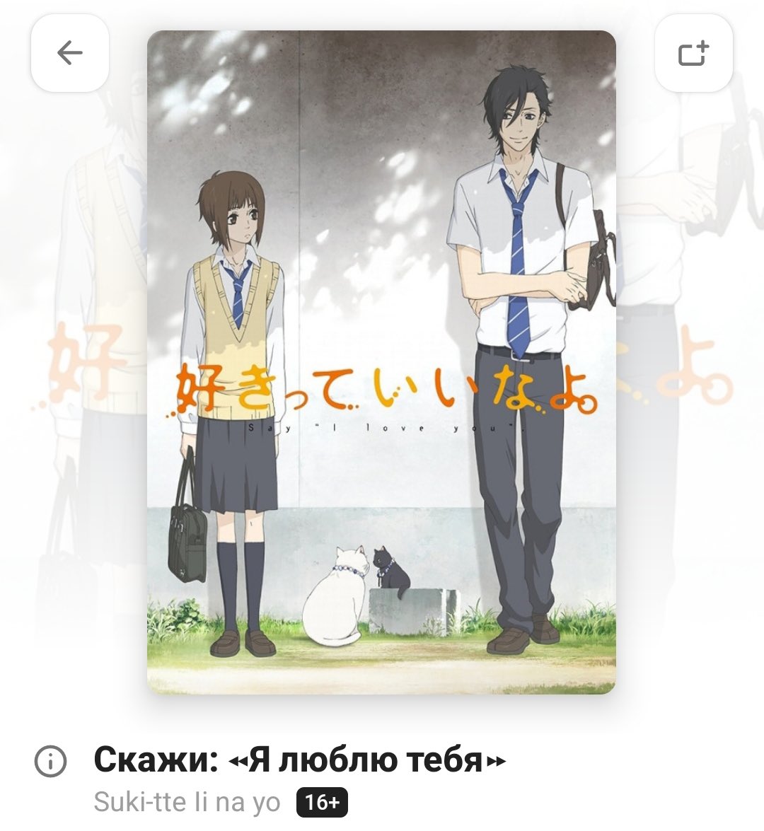 daisy 🍋 en 7 tweet media