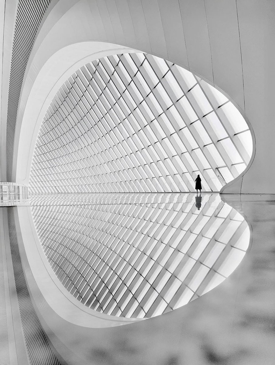 theglobalphotocommunity tweet media