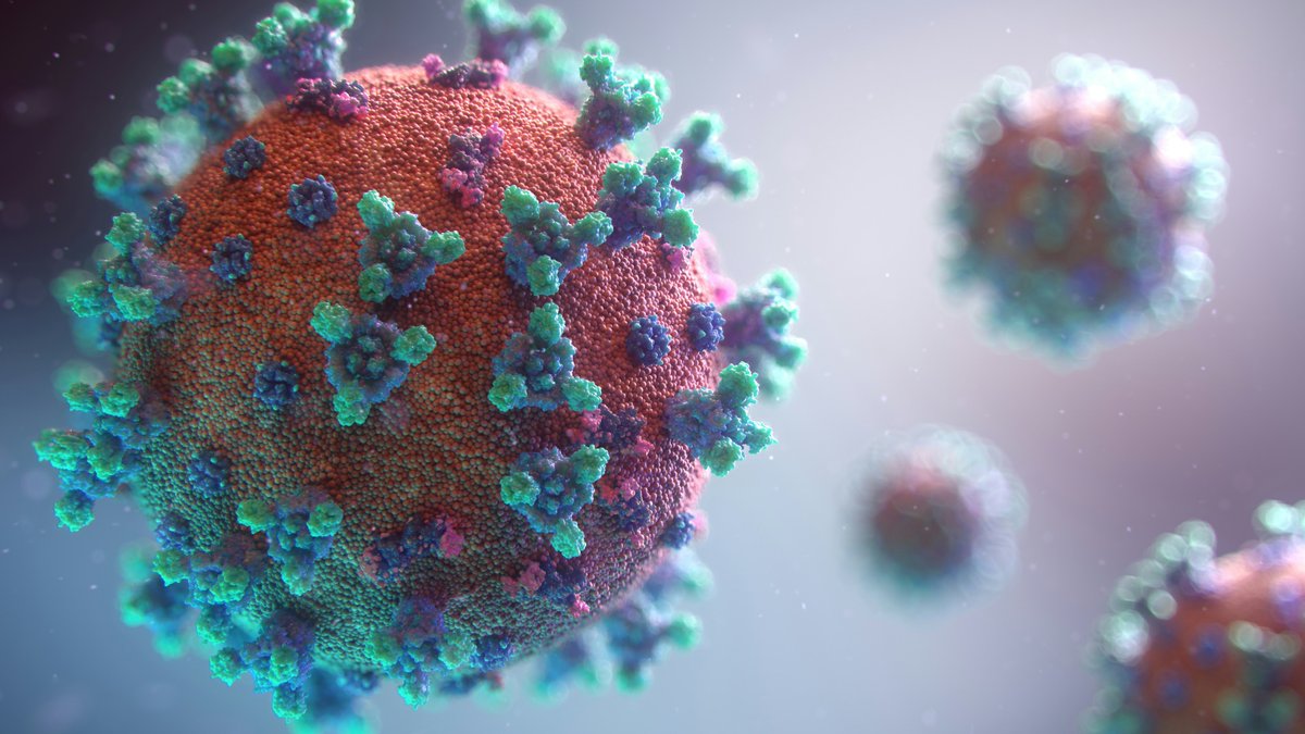 BeechHouseMP's tweet photo. We are now booking COVID vaccines for those 75 and over &amp; also those who are immunosuppressed.

We have immediately available appointments ready to book into!

Call us on 0161 983 6222. https://t.co/IJ86xwNSNn