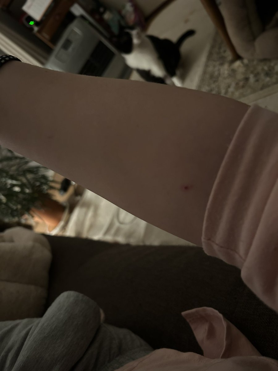 ルシ♡P&V&Z😸 tweet media