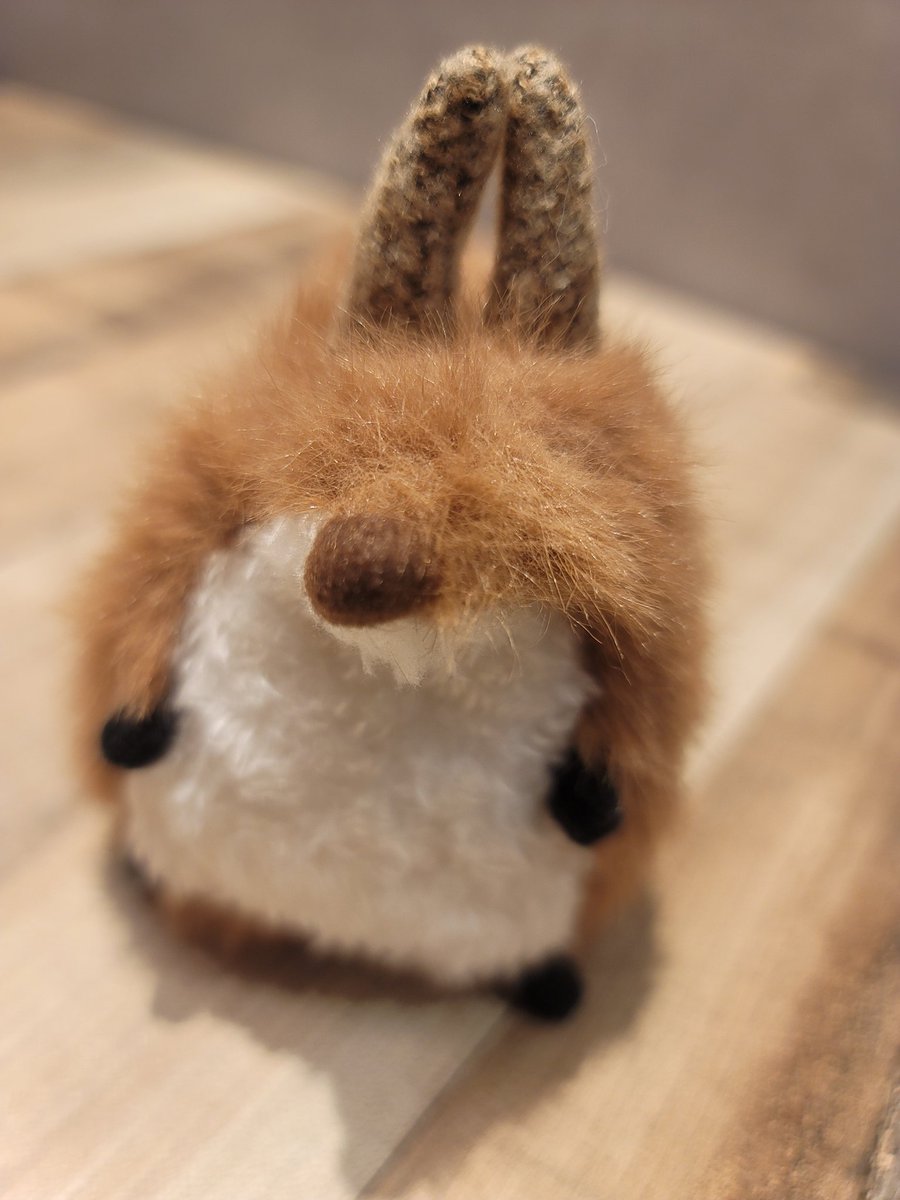 るぅたん tweet media