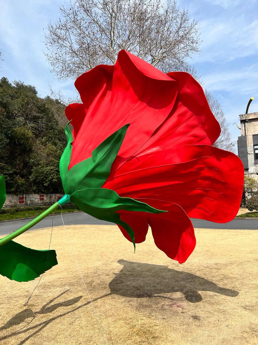 vicky hu tweet media