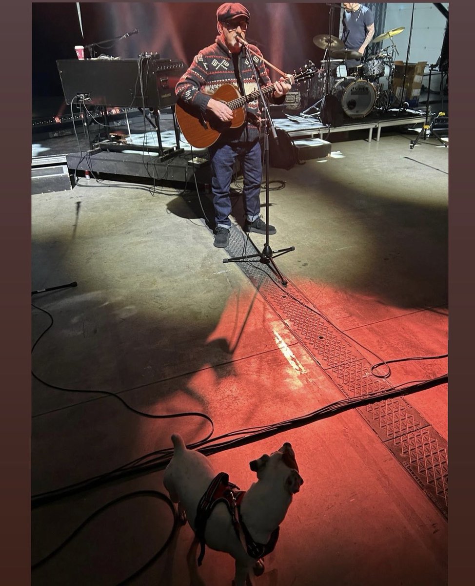 PCarrack's tweet photo. Rehearsals today  🎙️ 🐕 
#productionparkuk
#paulcarrackinconcert2026 https://t.co/df9Cz34M2A