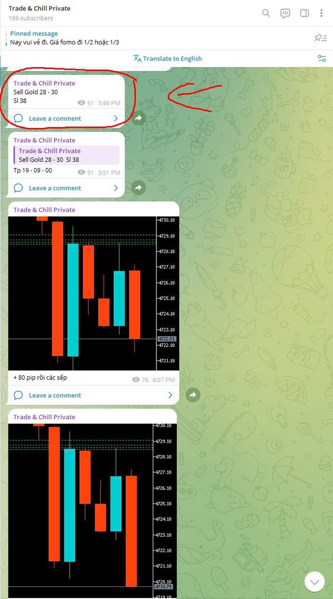 David_Tradingg's tweet image. Nãy trên Live ăn được kèo Sell với lệnh Tố chứ ae 300 pip đó không ít đâu
#TưDuyTrader #DavidTrading #trader #traderthanhcong #trading #forex #Gold #plangold #Goldforex #priceaction #lamgiaunhanh #traderchuyennghiep #phuongphapgiaodich #Trading2026