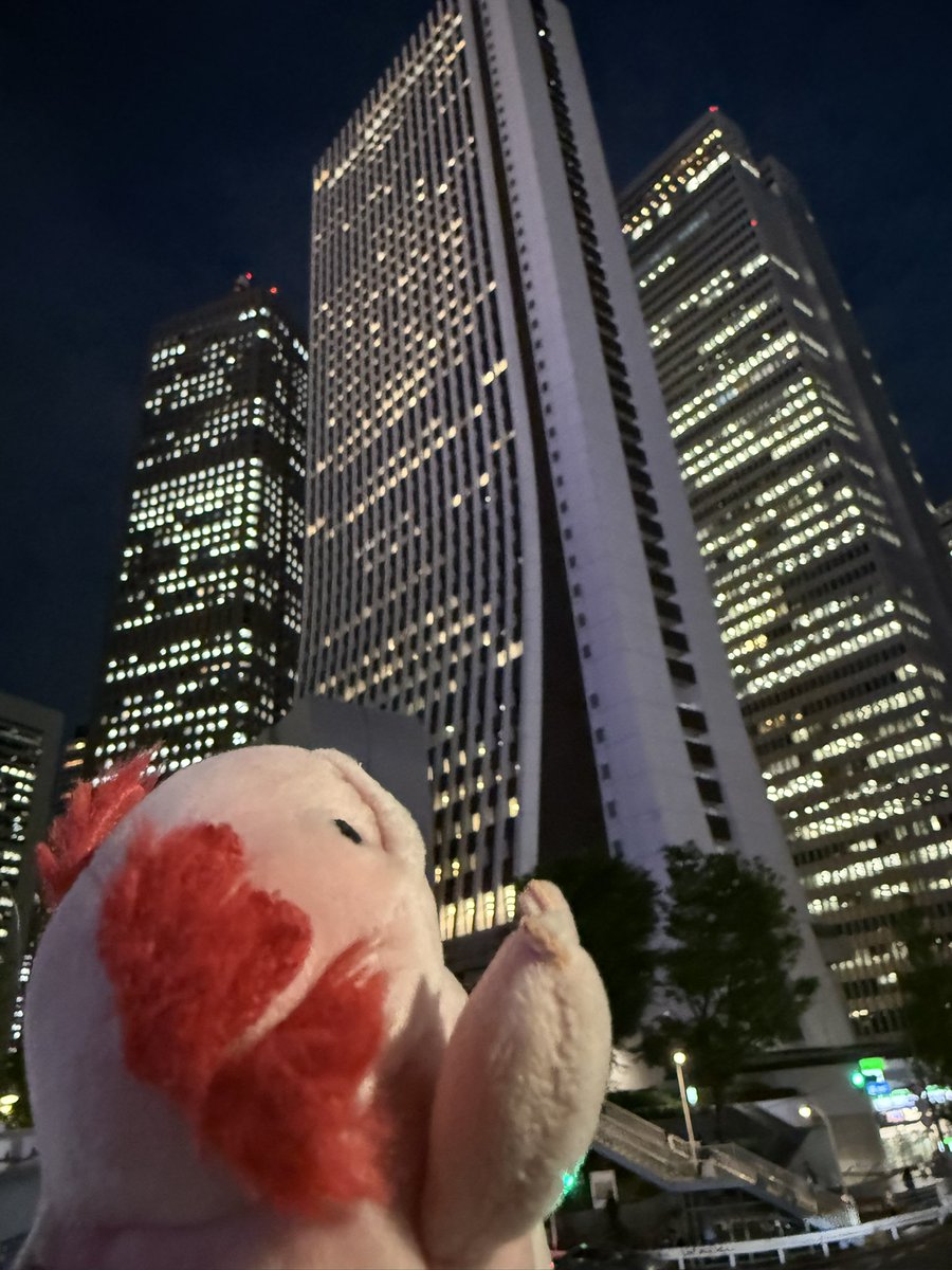 jirou魂環中 tweet media