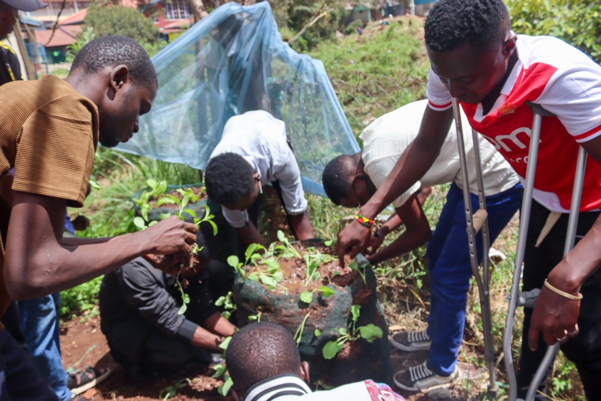giftedPWDcentre's tweet image. At GCC, we are utilizing #smallspaces to enhance the economic resilience of youth with disabilities through climate-smart agriculture&amp;amp;kitchen gardening, using #recyclable materials.
“Using sacks makes farming easier for me coz I don’t have to bend too much.” (Physical Disability)