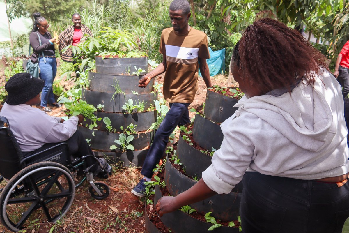 giftedPWDcentre's tweet image. At GCC, we are utilizing #smallspaces to enhance the economic resilience of youth with disabilities through climate-smart agriculture&amp;amp;kitchen gardening, using #recyclable materials.
“Using sacks makes farming easier for me coz I don’t have to bend too much.” (Physical Disability)