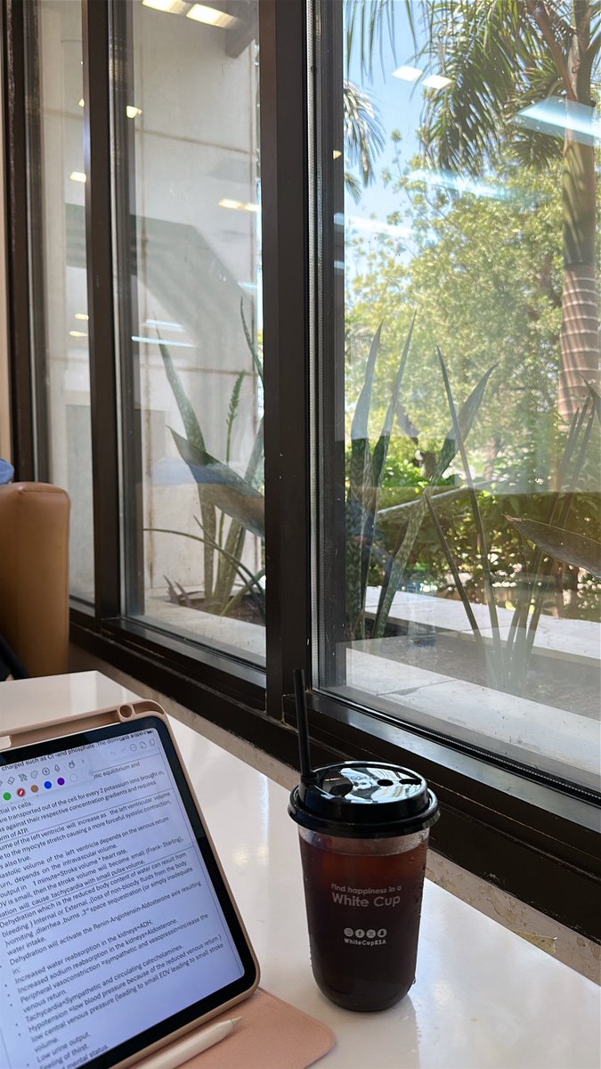 Yasmin Al-zahrani tweet media