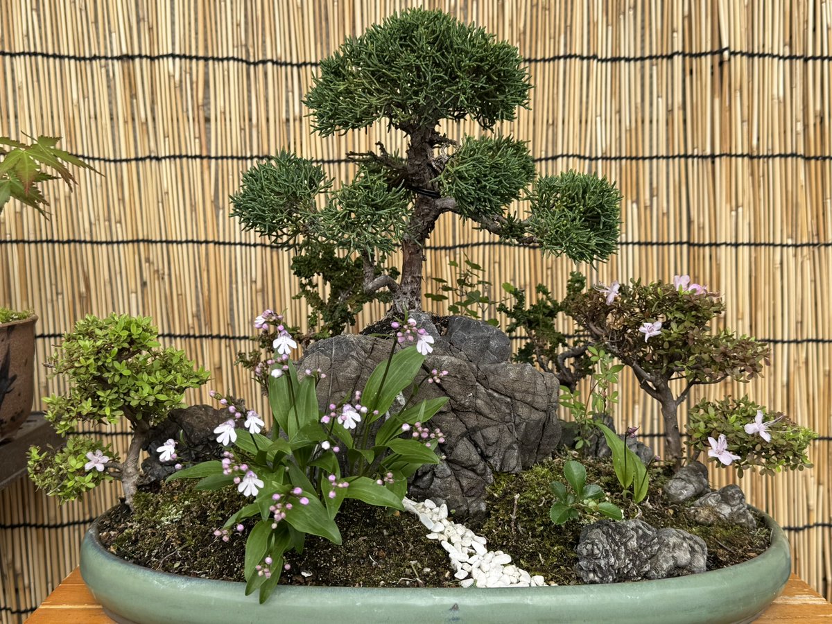 Second Life CBD tweet media