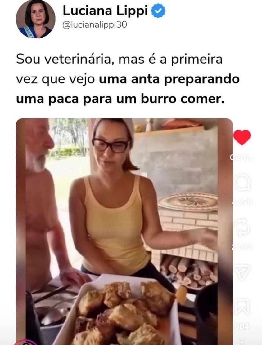 Tumulto BR tweet media