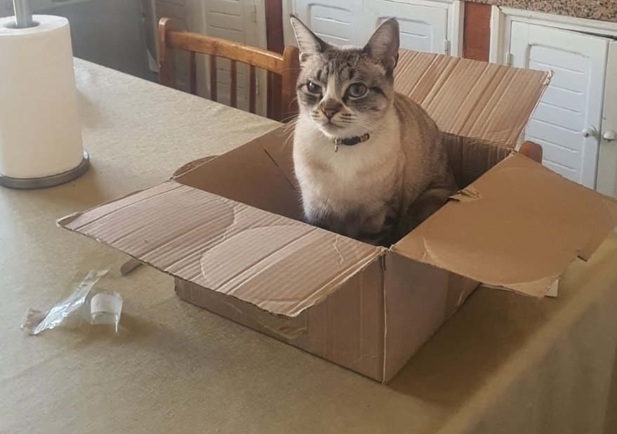 boustanenaim's tweet image. 2ans maintenant que j'ai ma petite fille Yuna, elle grandit tellement vite 🥺