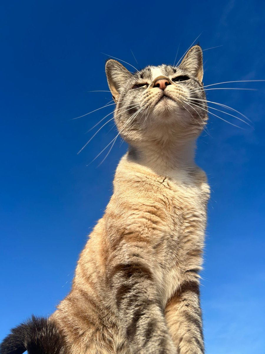 boustanenaim's tweet image. 2ans maintenant que j'ai ma petite fille Yuna, elle grandit tellement vite 🥺