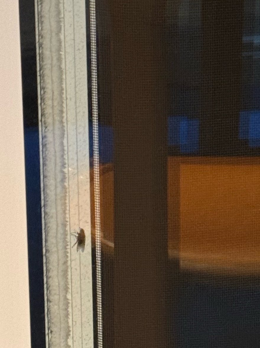 癞疙宝（秽土重生版） tweet media