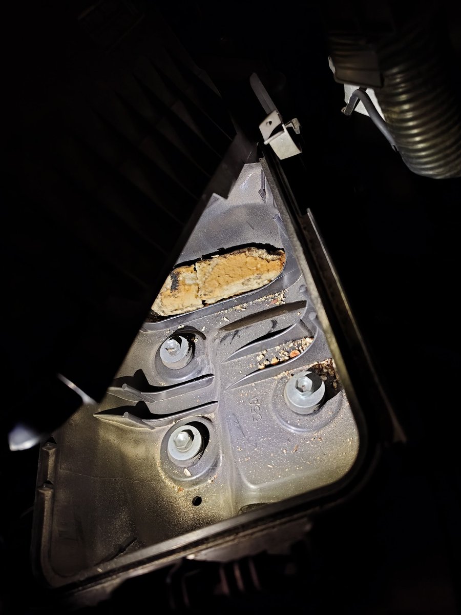 よっしー＠キャバルト.UN.co tweet media