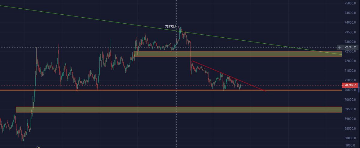 小老虎 tweet media