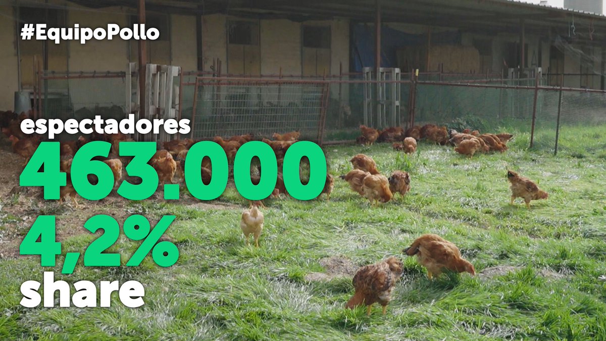 MasQTele's tweet photo. #EquipoPollo se conforma en la noche del viernes de @laSextaTV con 463.000 espectadores (4,2% de share) #GlòriaSerra https://t.co/PQNRaHnYsE