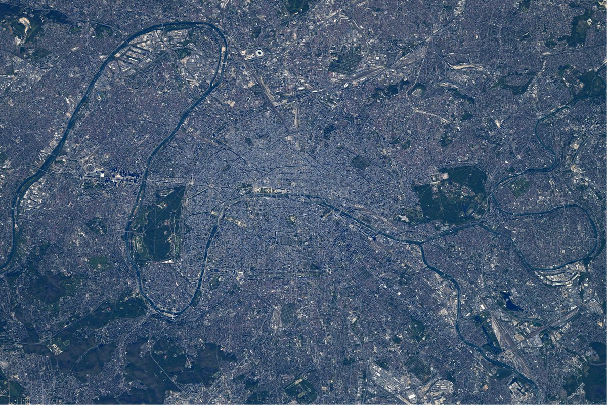 Adenot Sophie tweet media