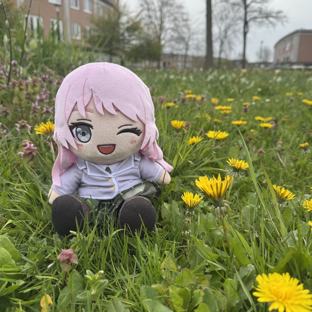 8ki._.29 tweet media