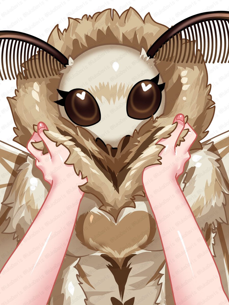 内田るか/Ruka Uchida tweet media