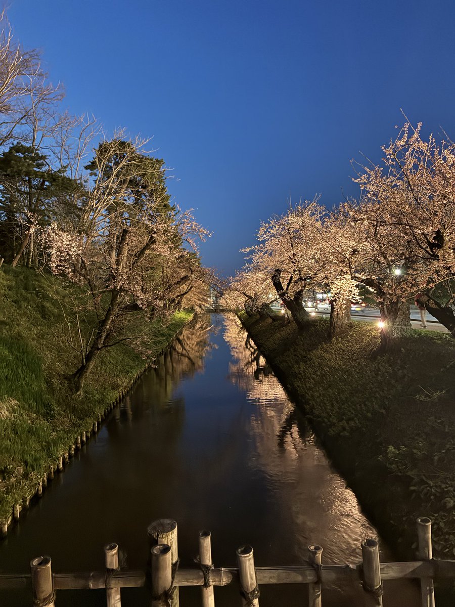 deralion's tweet photo. まだまだだね https://t.co/rqyrKV9SSS