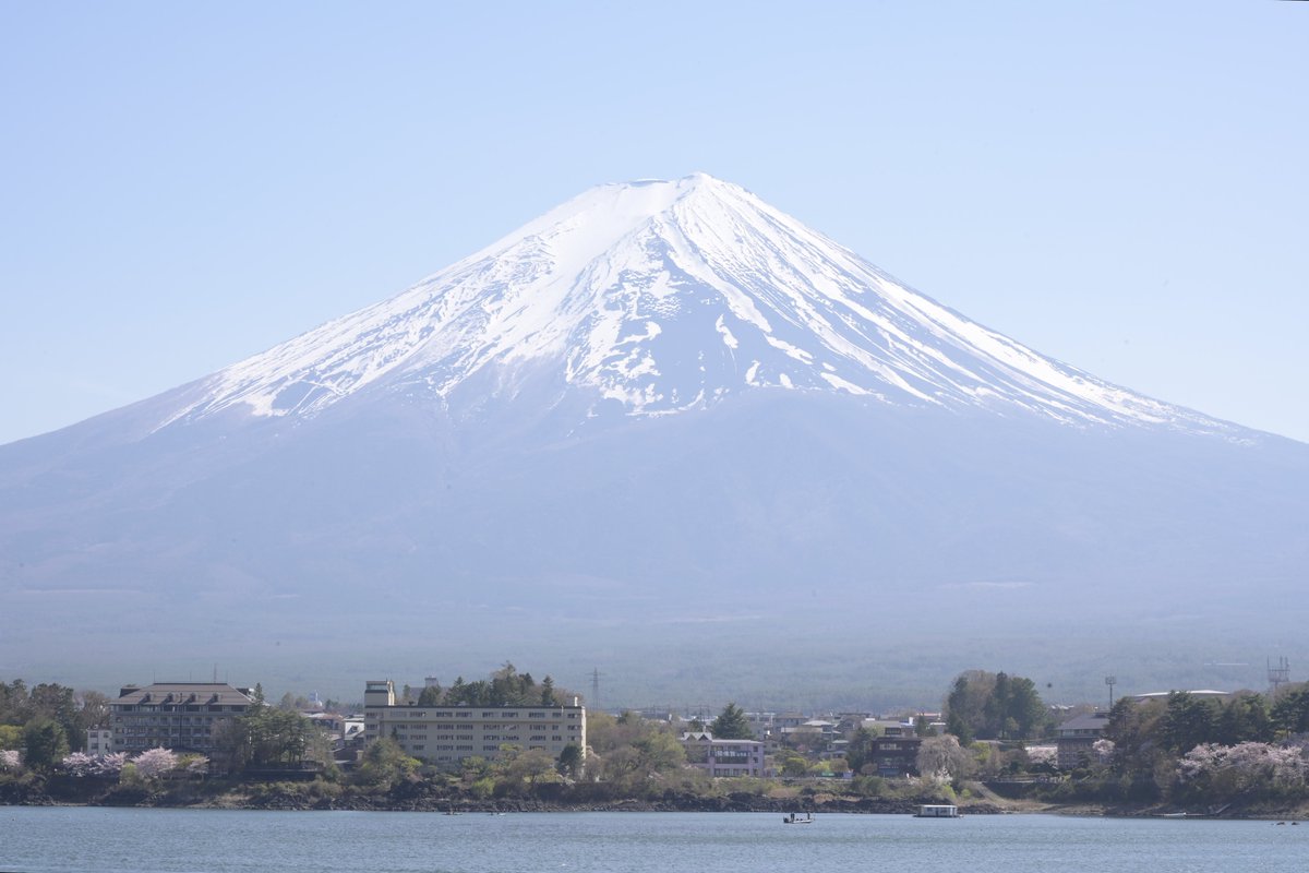 チェル🧪🌸 tweet media