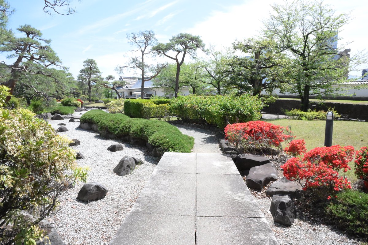 チェル🧪🌸 tweet media