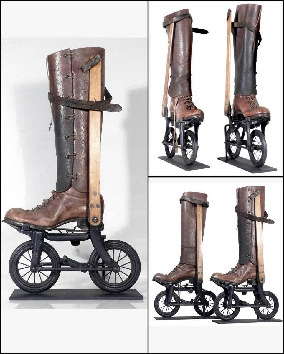 LeoDaVinciWave tweet media