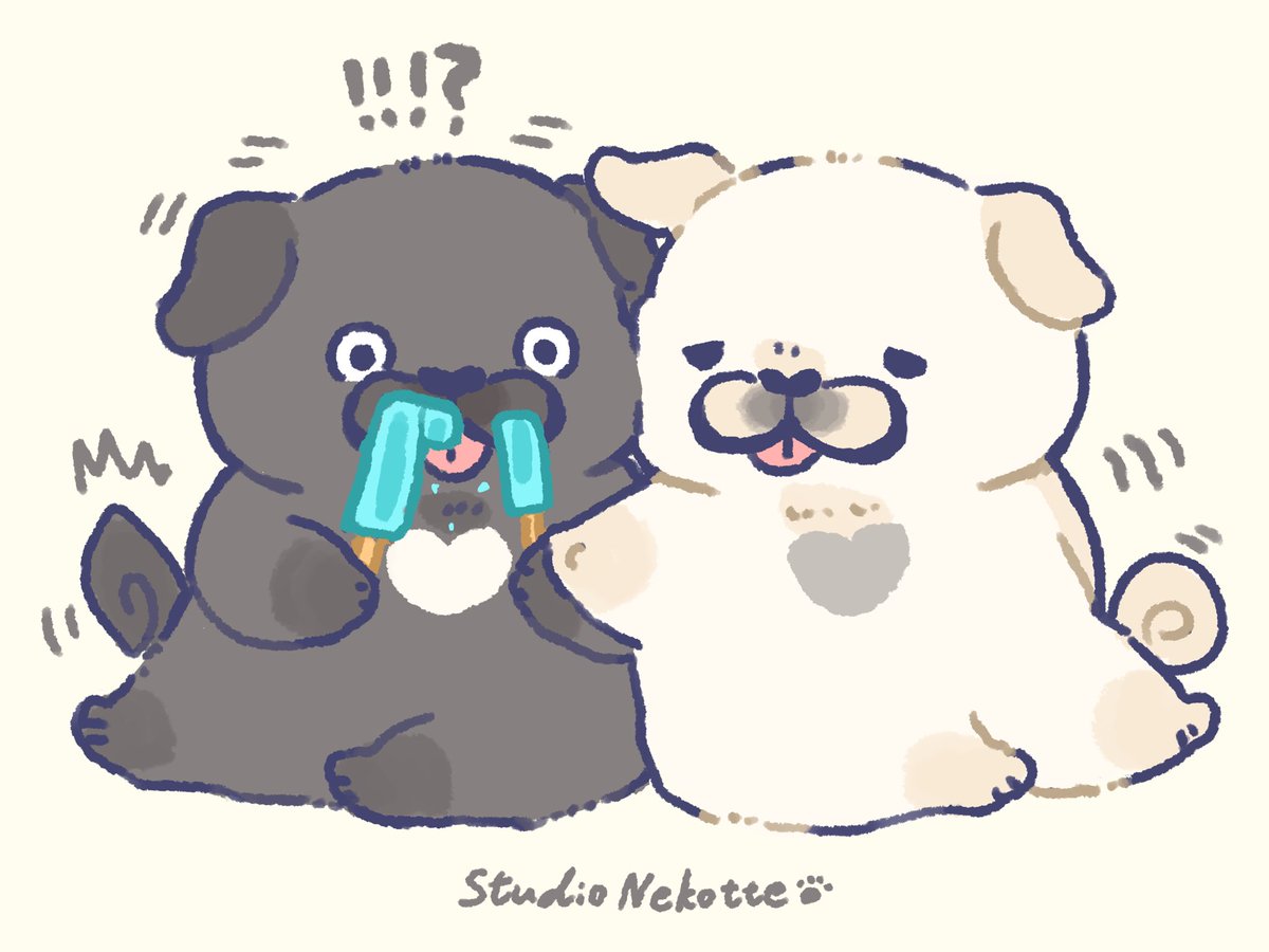 studio_nekotte's tweet image. 黒パグさんと白パグさん⑤🖤🤍🐾

#パグ #pug #ゆるいイラスト