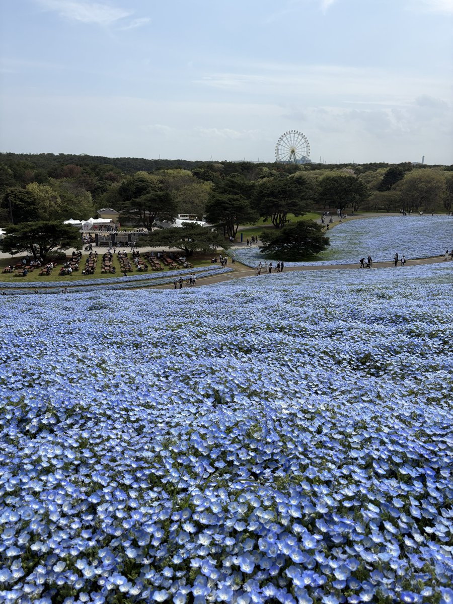 miao❤︎ tweet media