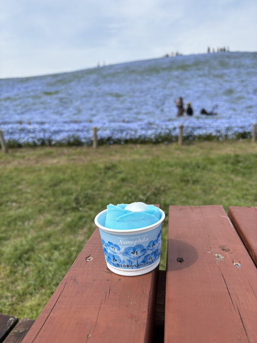 miao❤︎ tweet media