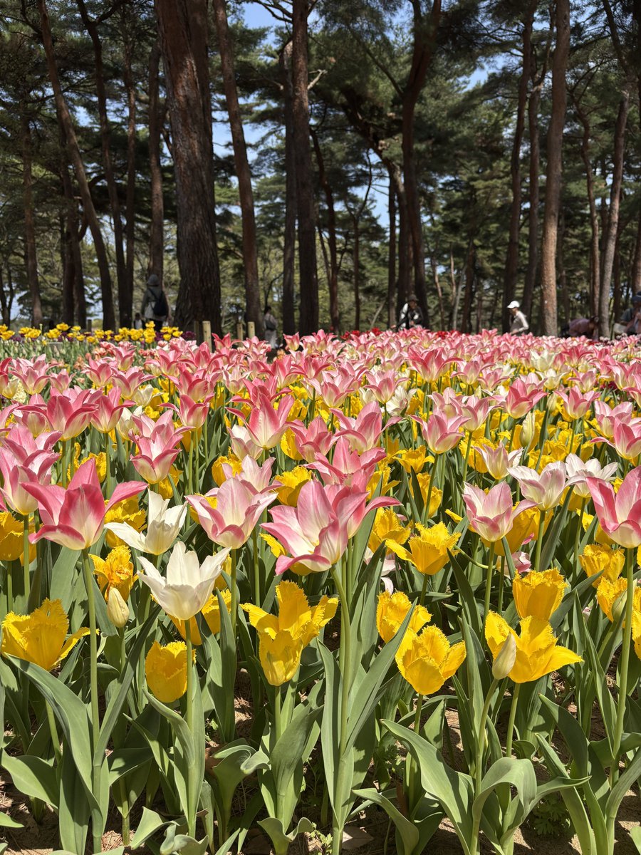 miao❤︎ tweet media