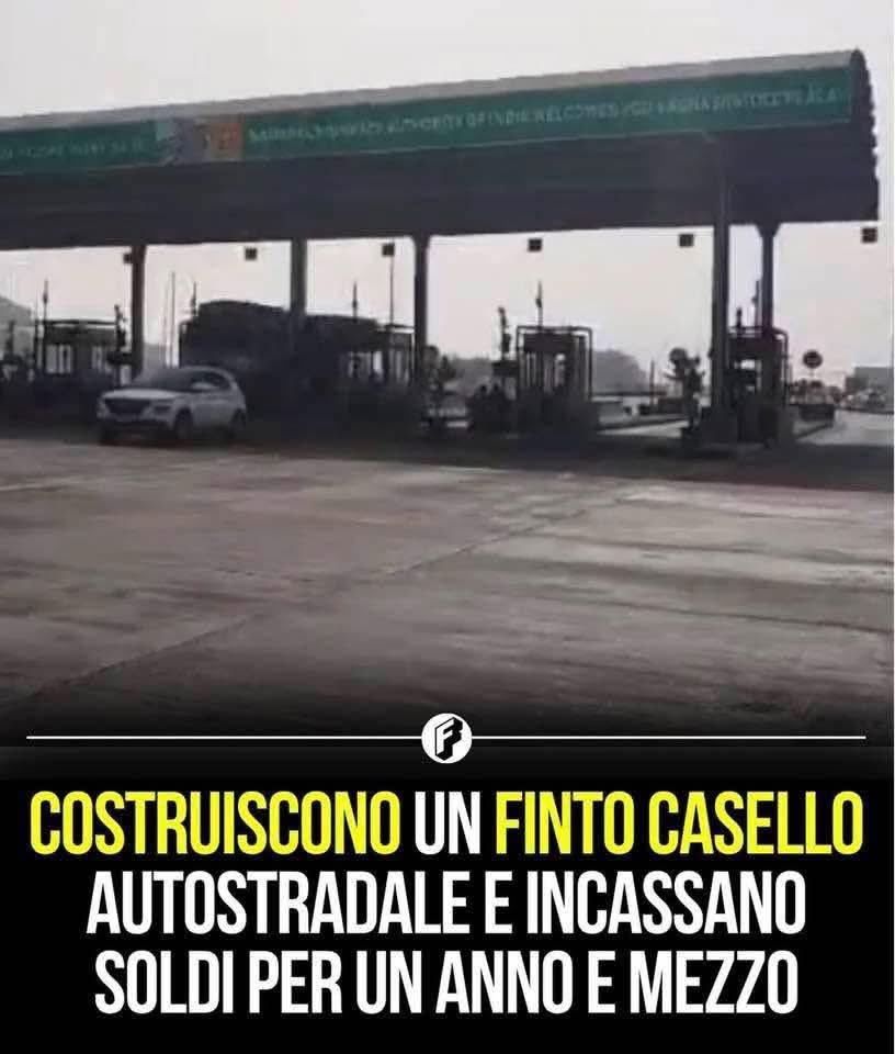 micatwitto tweet media