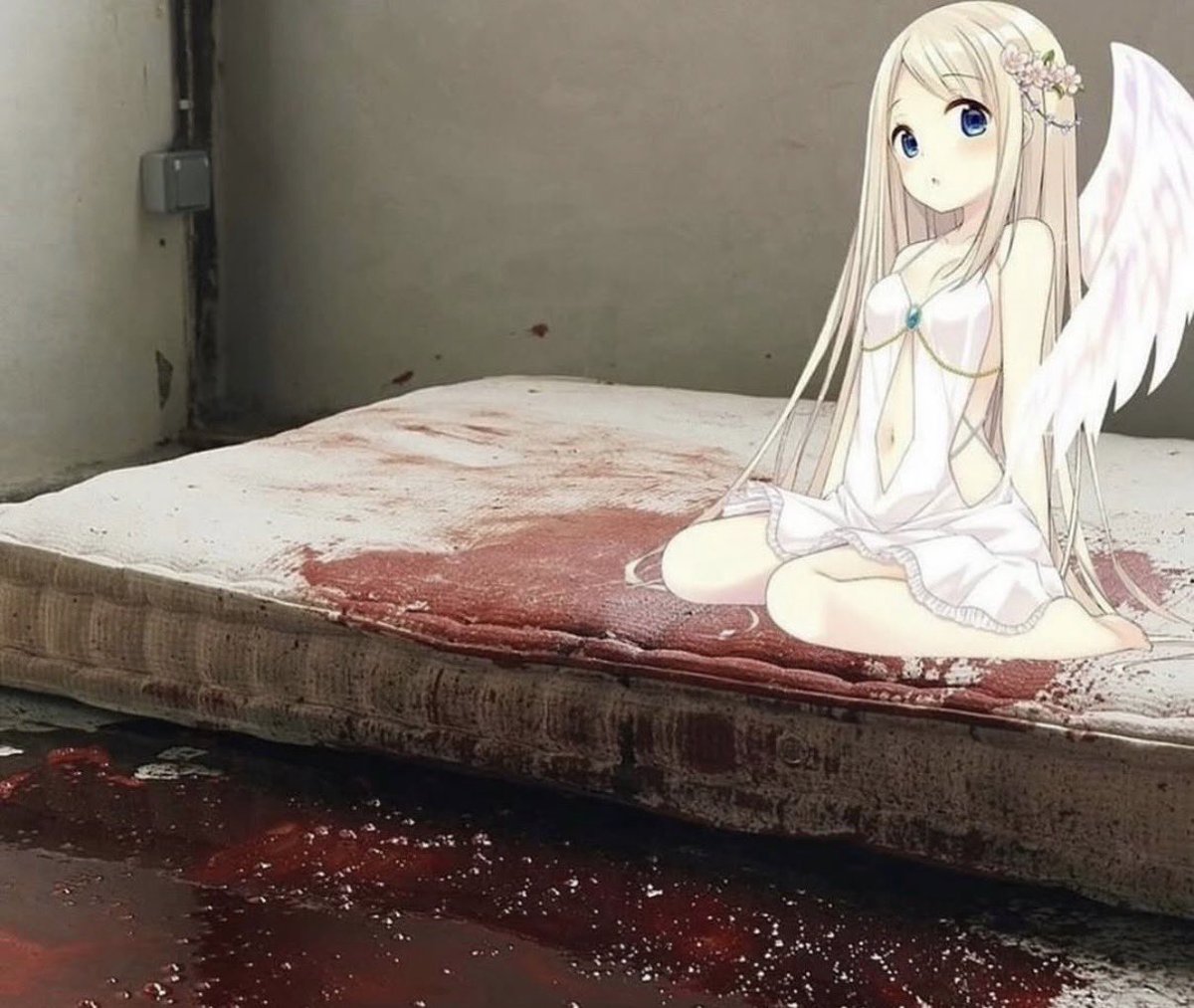 Nelli ༻ tweet media