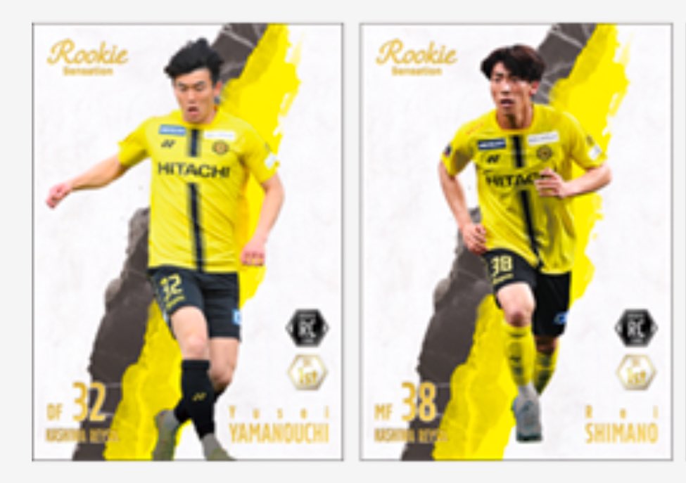 柏のジロ tweet media