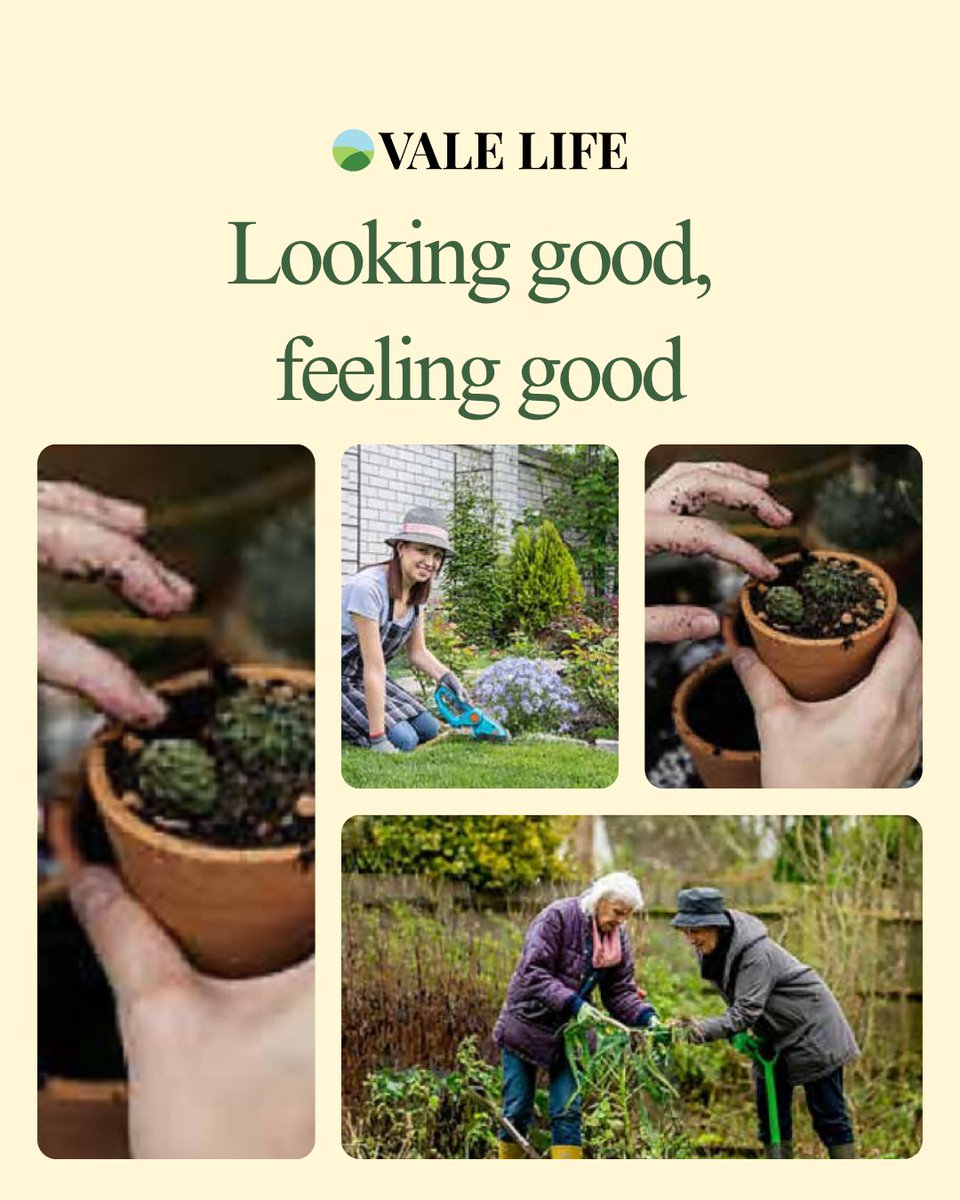 Vale Life Magazine tweet media