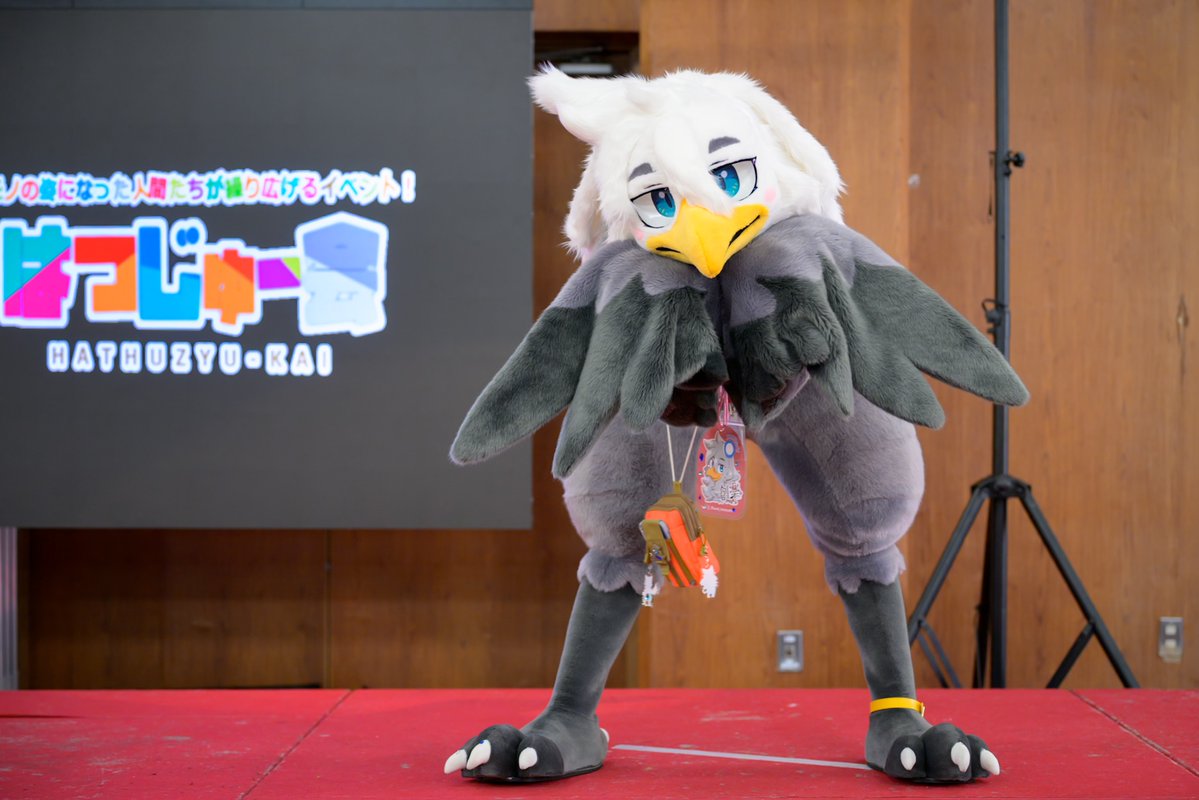 烏丸創楽➡️関けも【G-58】 tweet media