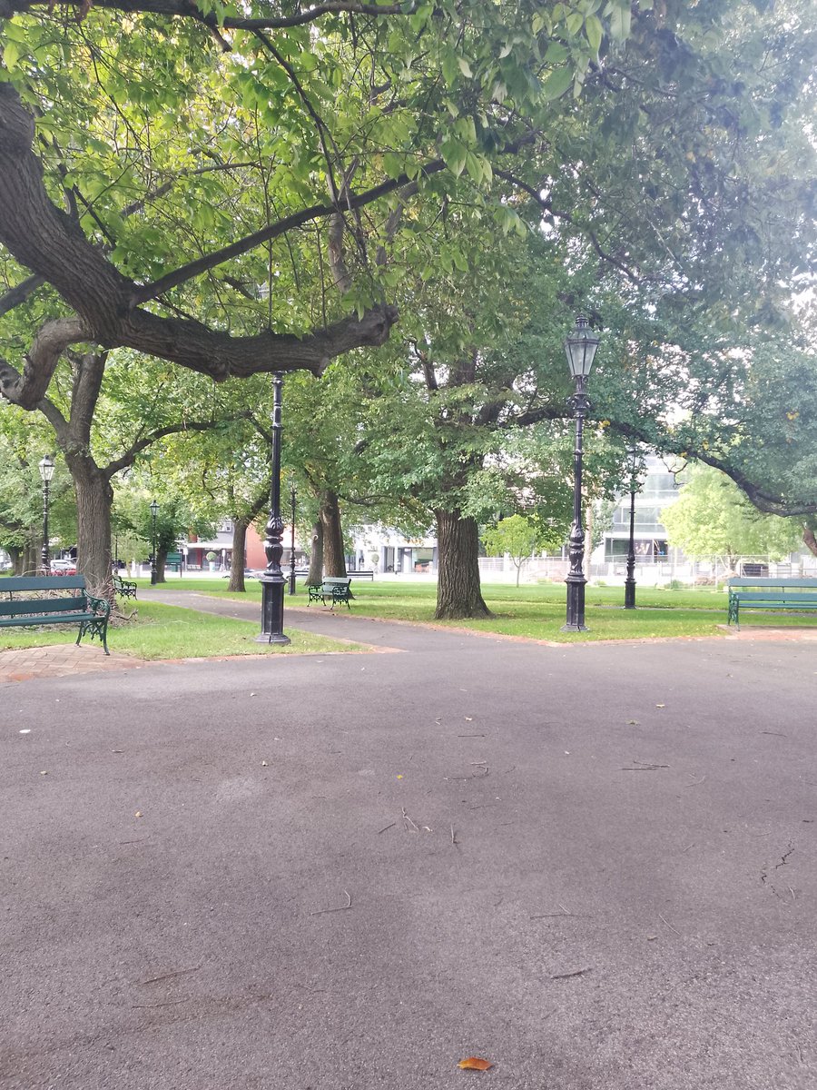 Elbereth Moore tweet media