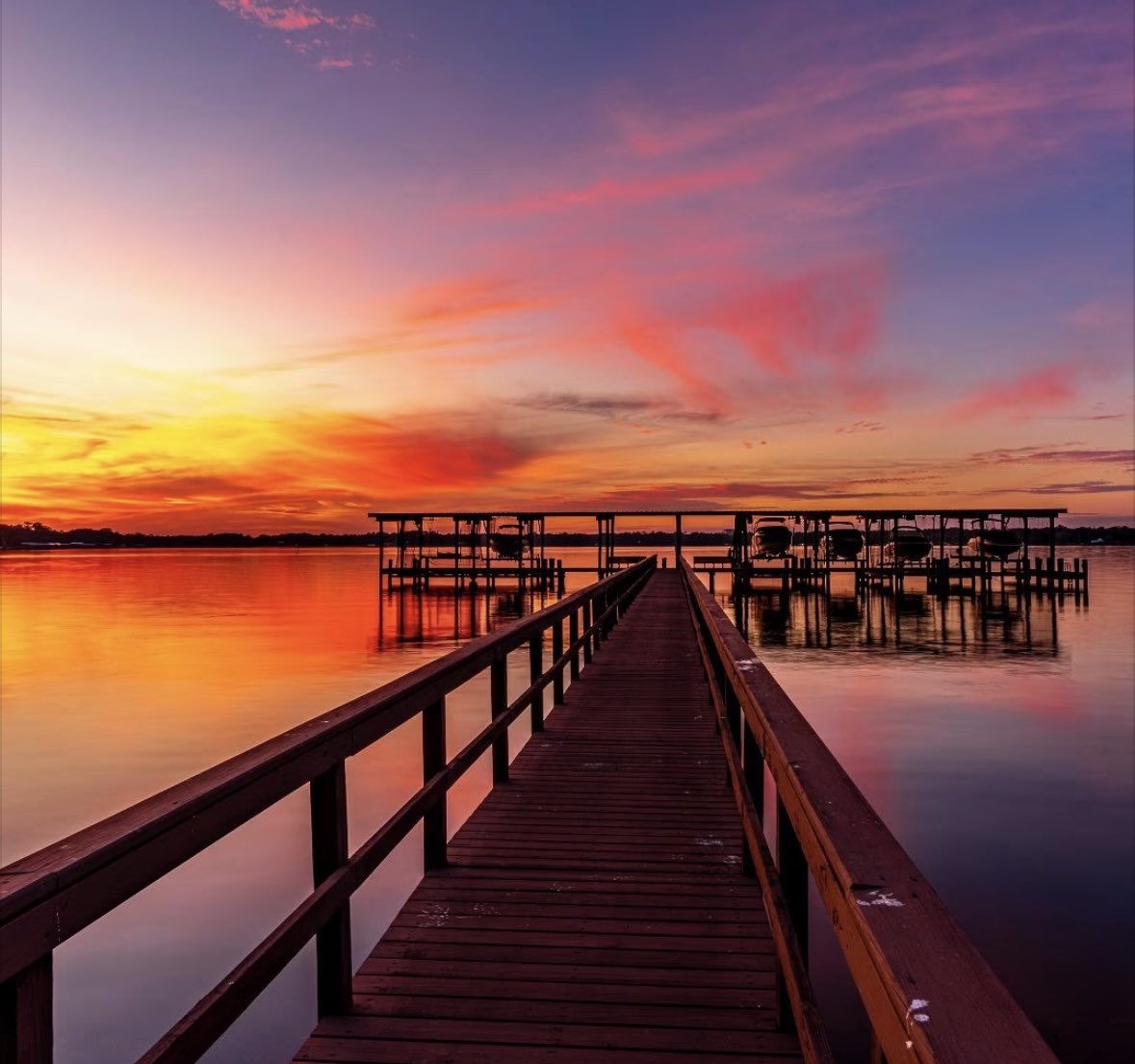 Eva McMillan ♥️ tweet media